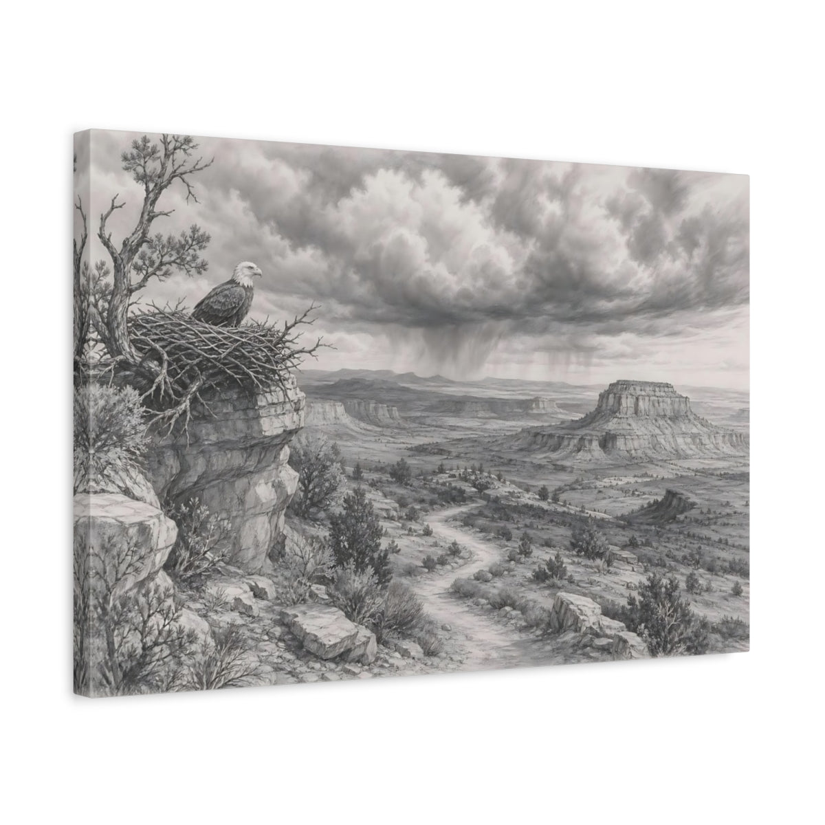 Side Mockup 3. Nature Bald Eagle Grey Nature Landscape shown as stretched canvas wall art