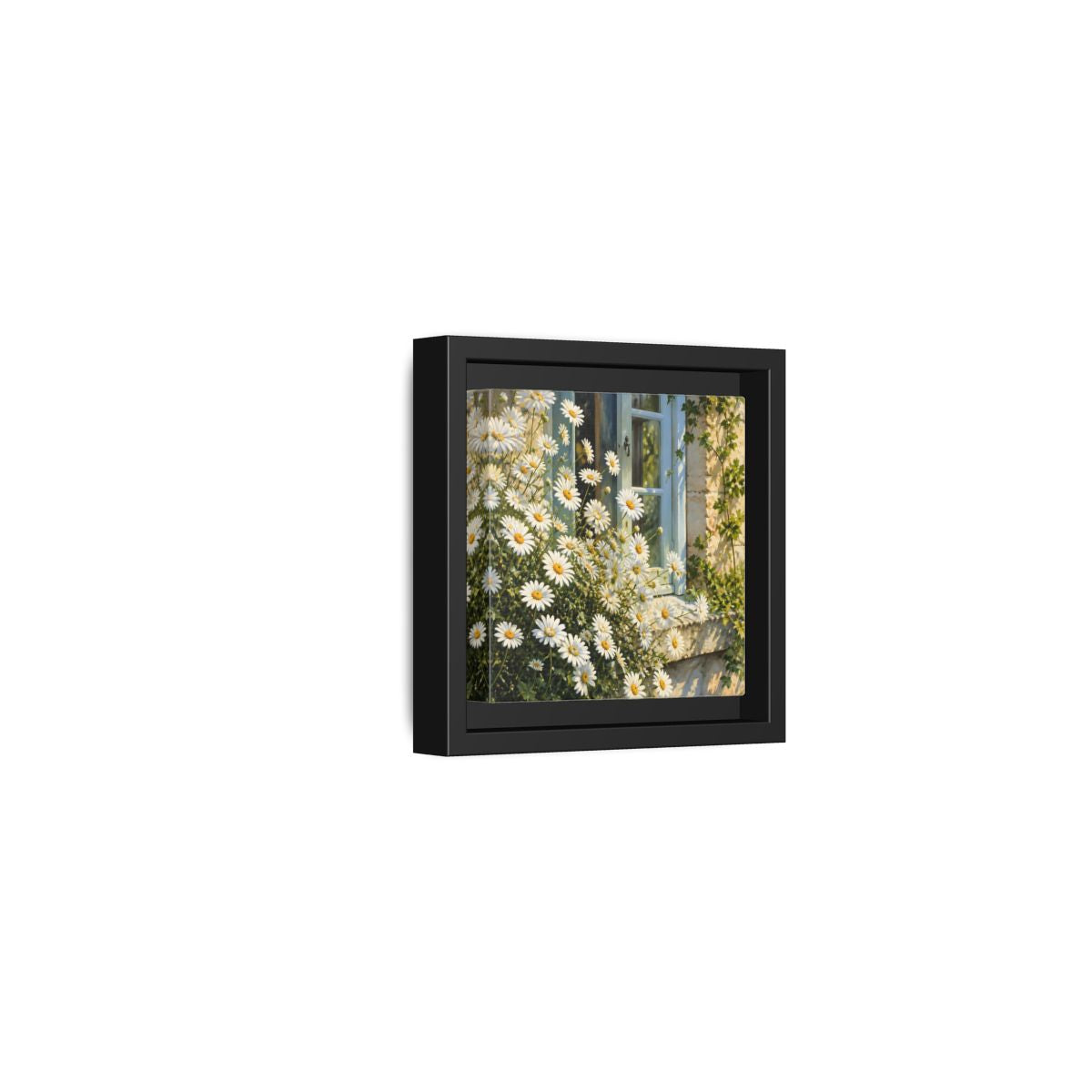 Side Mockup 24. Nature Daisies White Daisies shown as stretched canvas wall art