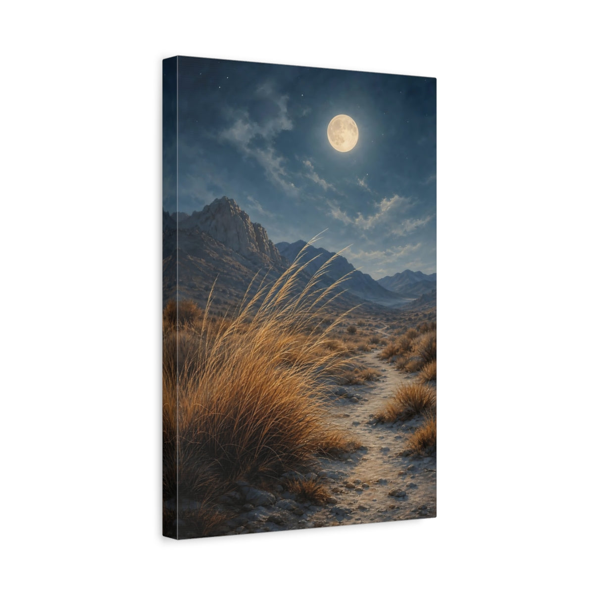 Side Mockup 4. Nature Desert Landscape Moonlit Desert shown as stretched canvas wall art