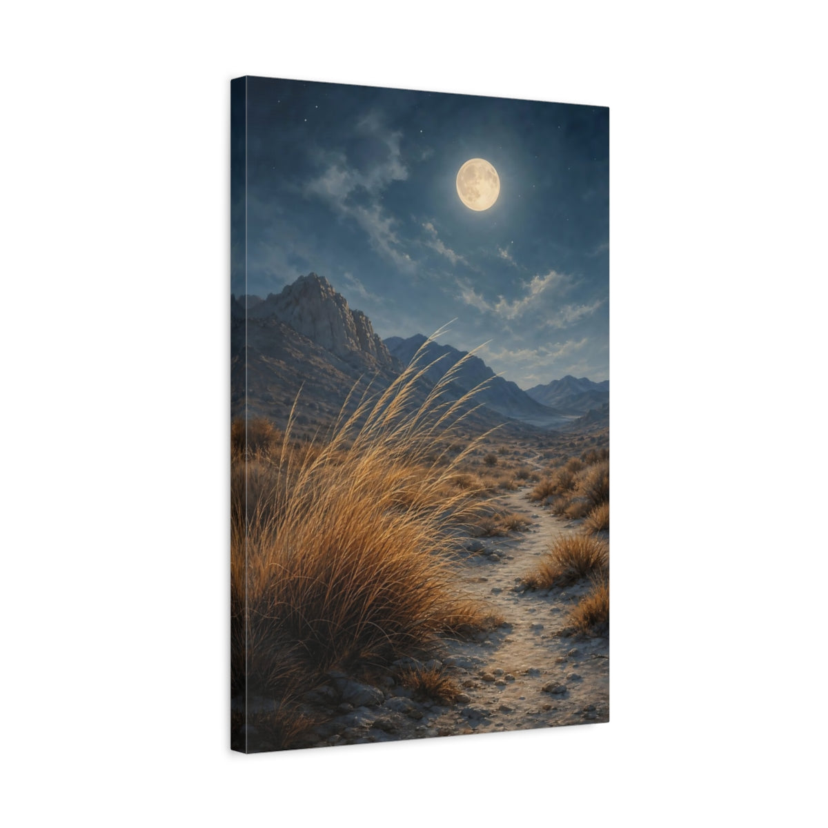 Side Mockup 3. Nature Desert Landscape Moonlit Desert shown as stretched canvas wall art