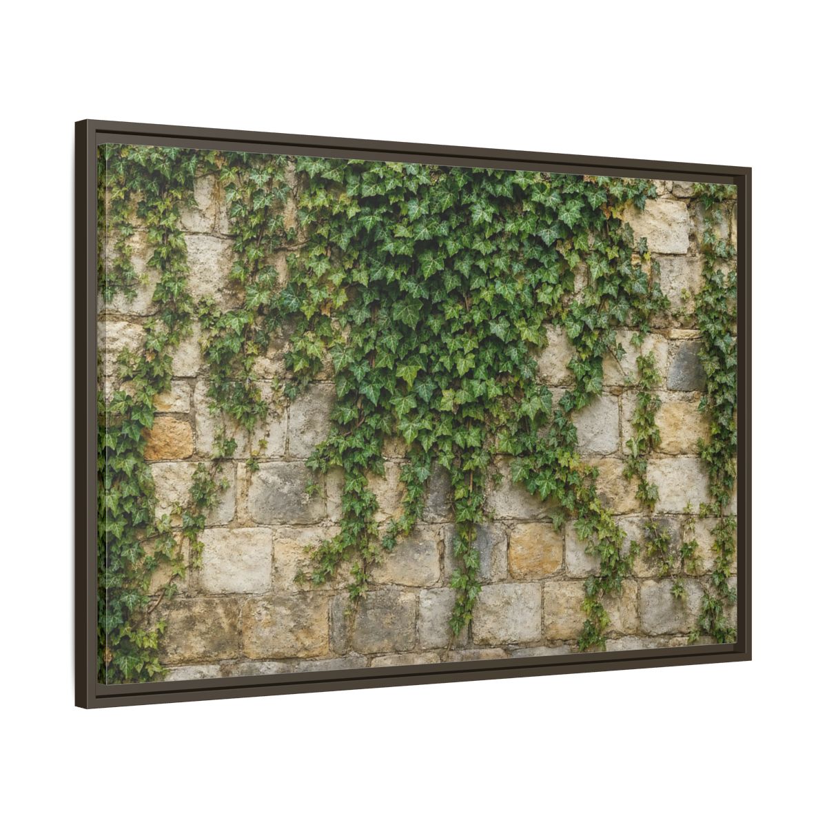 Main Mockup. Nature Ivy Green Ivy Wall shown as stretched canvas wall art