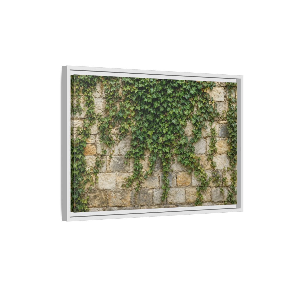 Side Mockup 1. Nature Ivy Green Ivy Wall shown as stretched canvas wall art