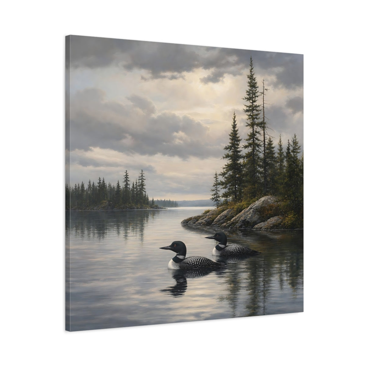 Main Mockup. Nature Loons Gray Loons shown as stretched canvas wall art