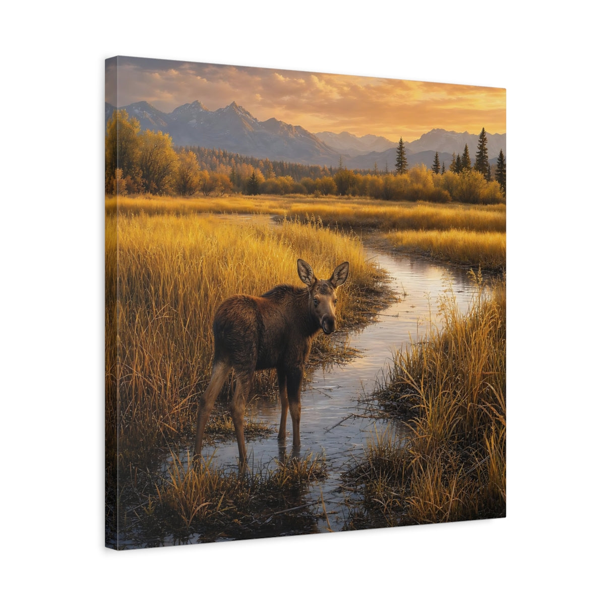 Side Mockup 5. Nature Moose Golden Moose shown as stretched canvas wall art