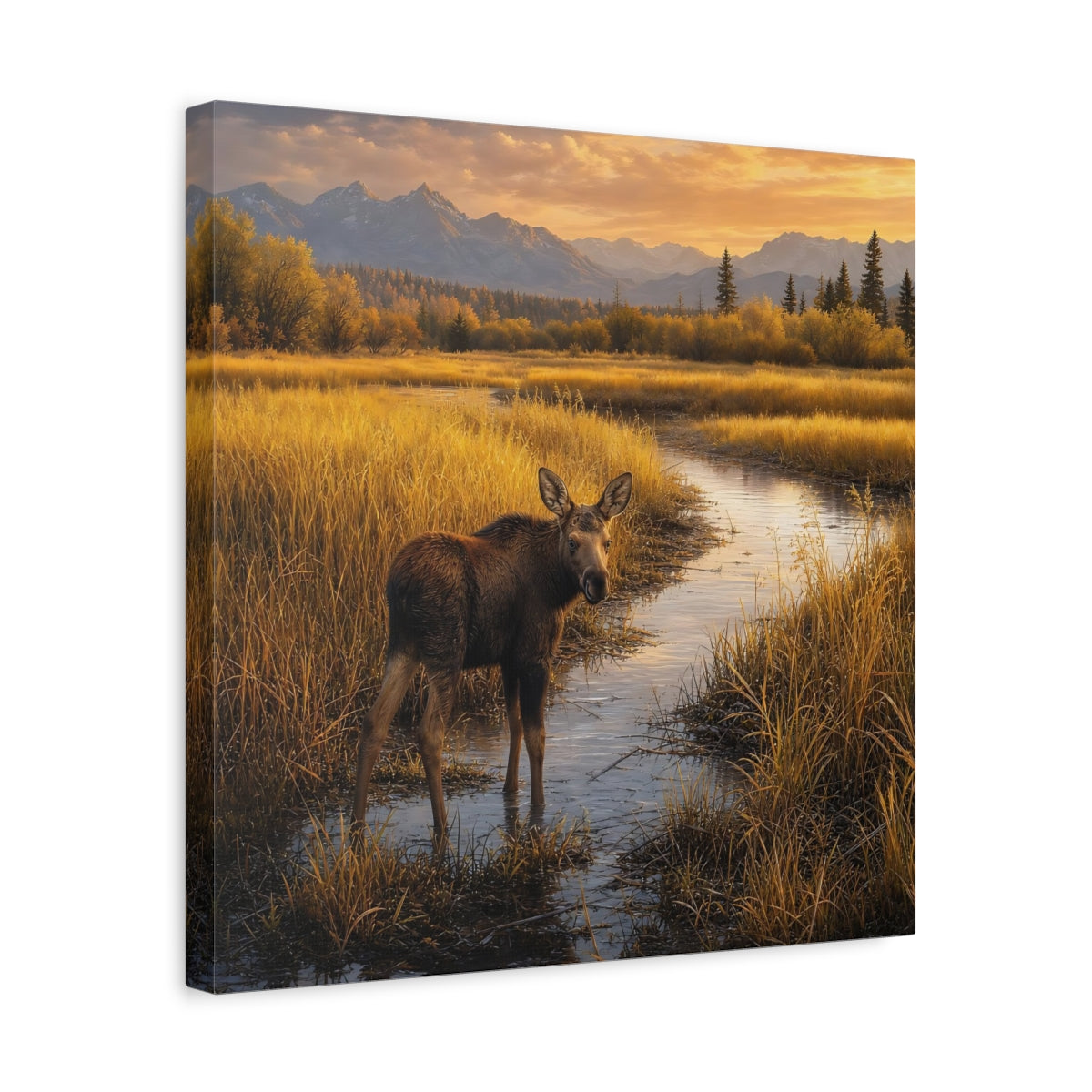 Side Mockup 6. Nature Moose Golden Moose shown as stretched canvas wall art