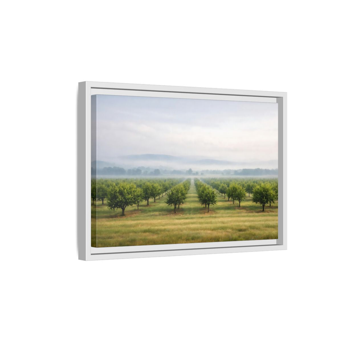 Side Mockup 4. Nature Orchard Misty Green Orchard shown as stretched canvas wall art