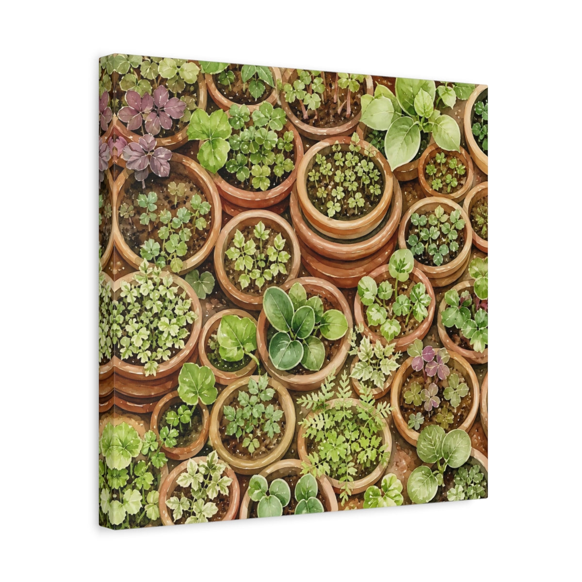 Side Mockup 6. Nature Potted Plants Green Potted Plants shown as stretched canvas wall art
