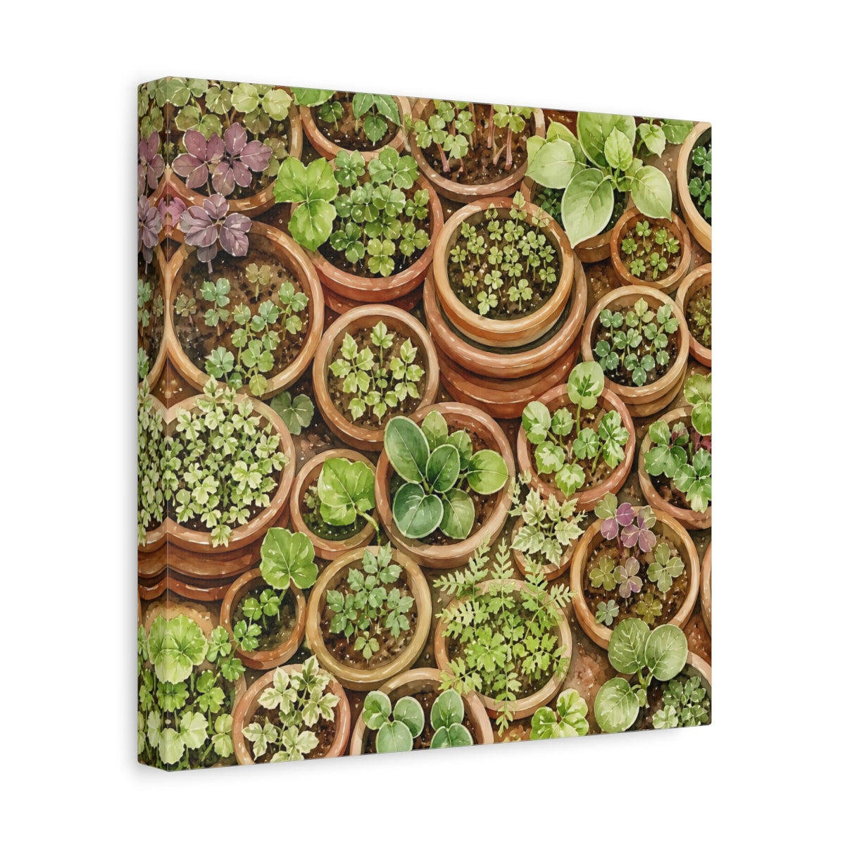 Side Mockup 8. Nature Potted Plants Green Potted Plants shown as stretched canvas wall art