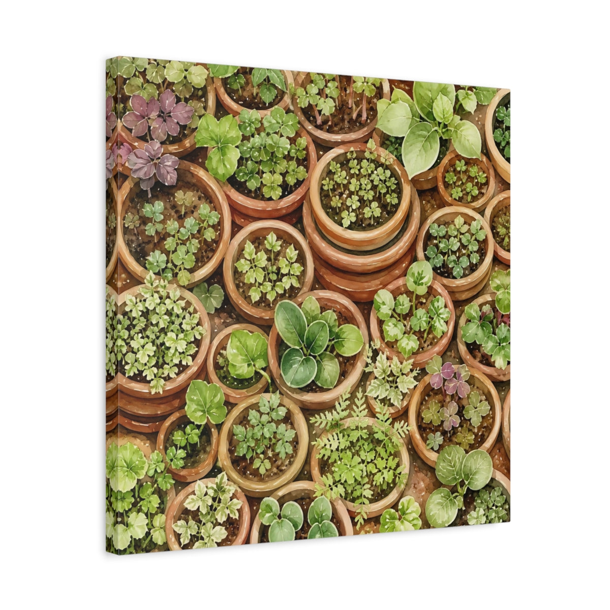 Side Mockup 5. Nature Potted Plants Green Potted Plants shown as stretched canvas wall art