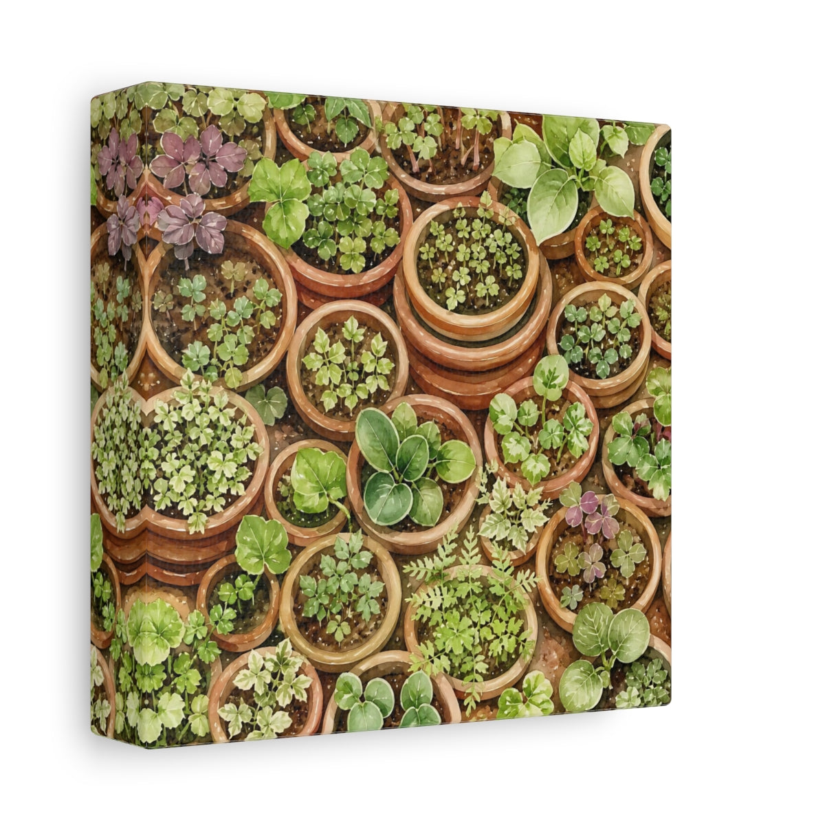 Side Mockup 2. Nature Potted Plants Green Potted Plants shown as stretched canvas wall art