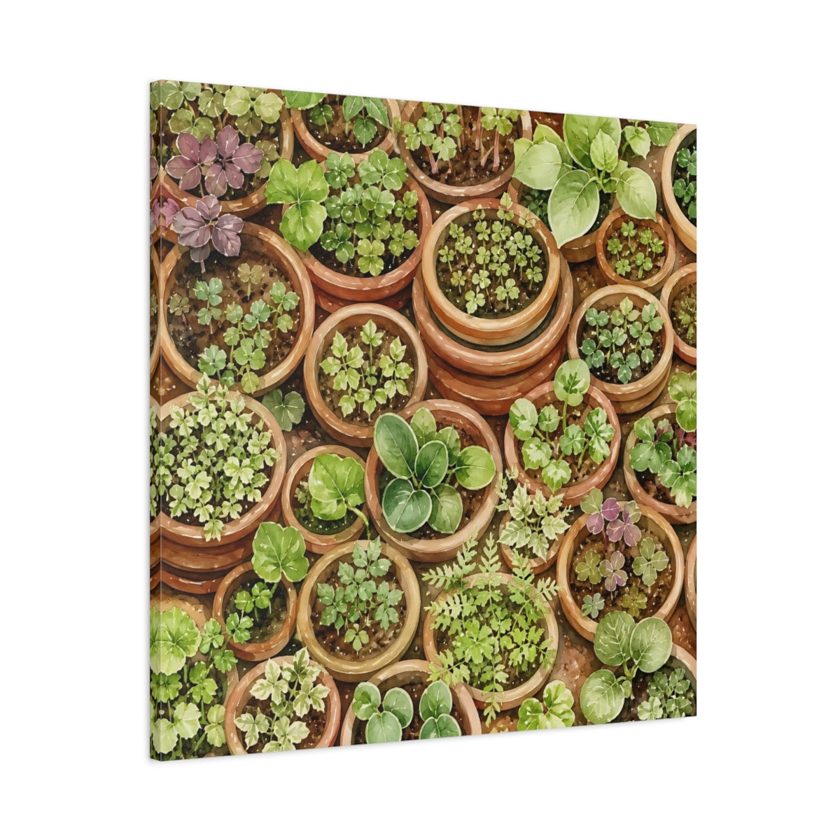 Main Mockup. Nature Potted Plants Green Potted Plants shown as stretched canvas wall art