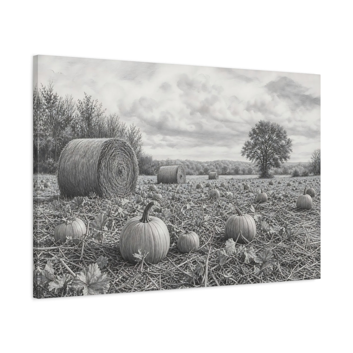 Main Mockup. Nature Pumpkin Field Grey Farm Landscape shown as stretched canvas wall art