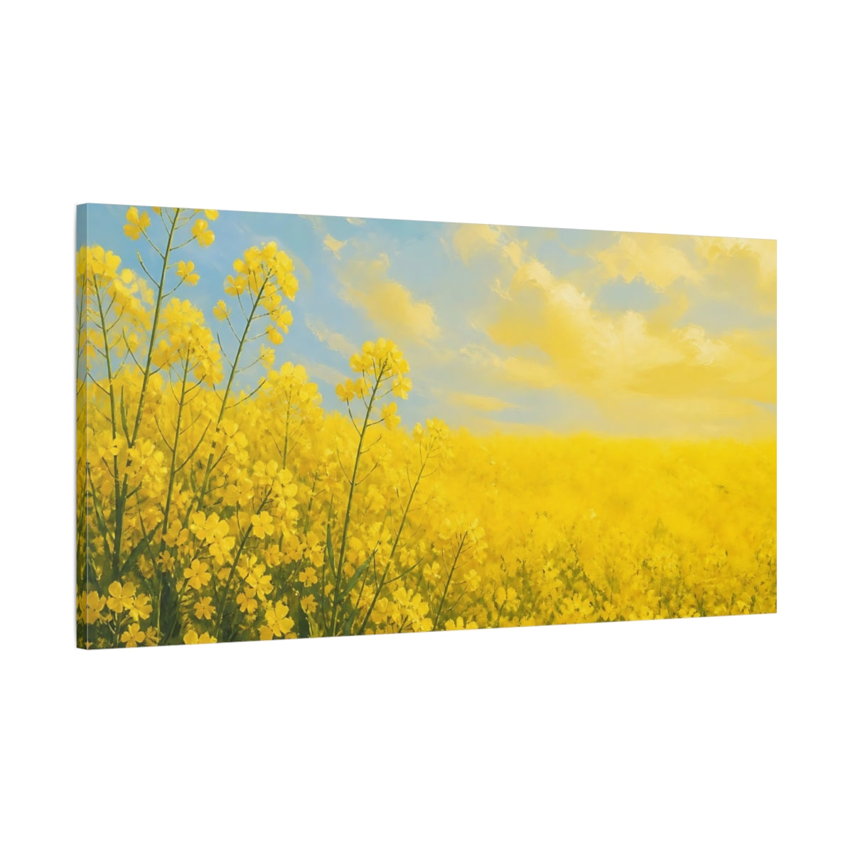 Main Mockup. Nature Rapeseed Field Yellow Landscape shown as stretched canvas wall art