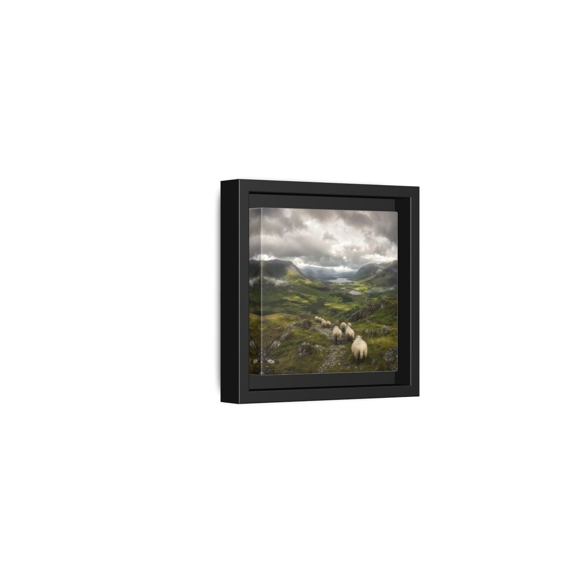 Side Mockup 24. Nature Sheep Green Valley Sheep shown as stretched canvas wall art
