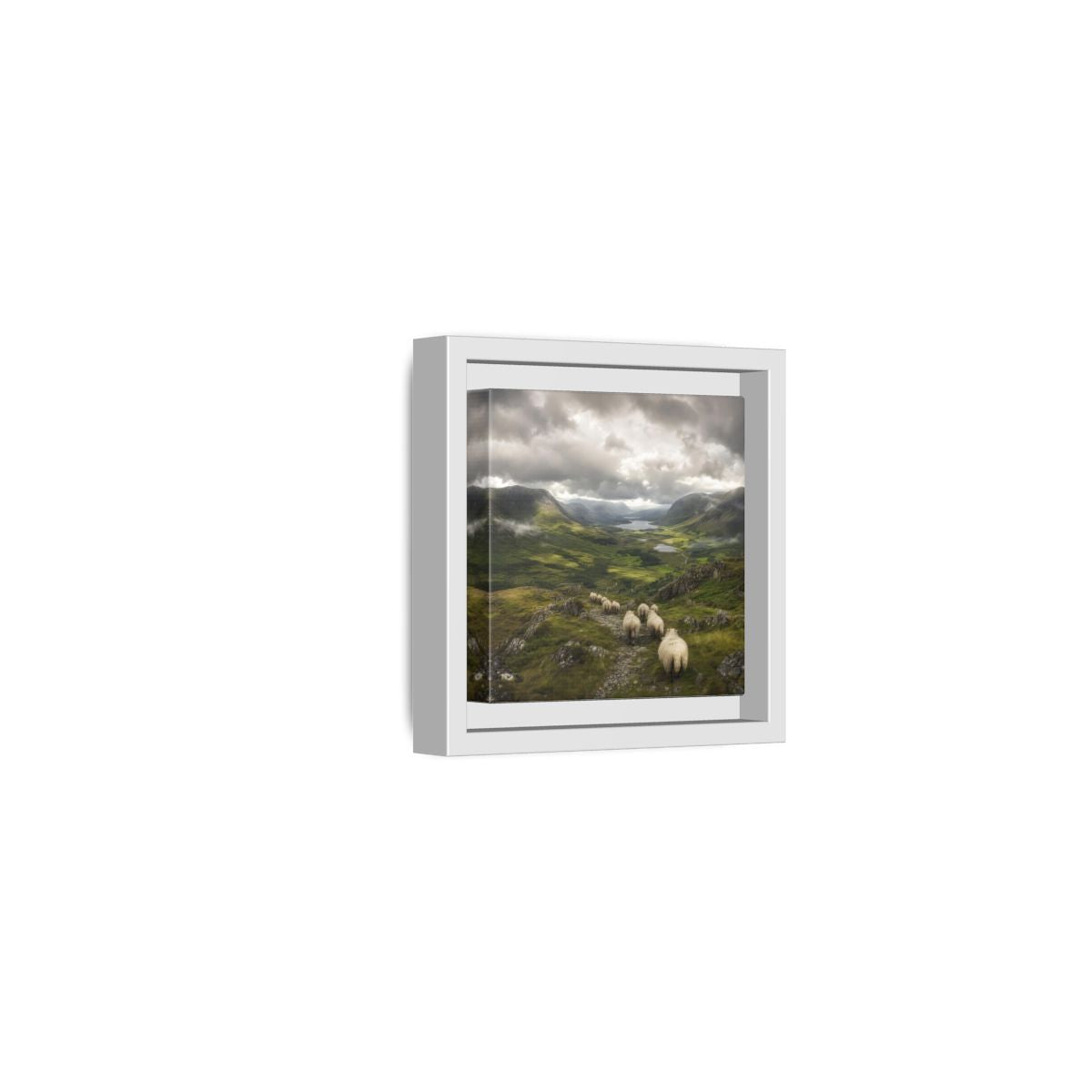 Side Mockup 22. Nature Sheep Green Valley Sheep shown as stretched canvas wall art