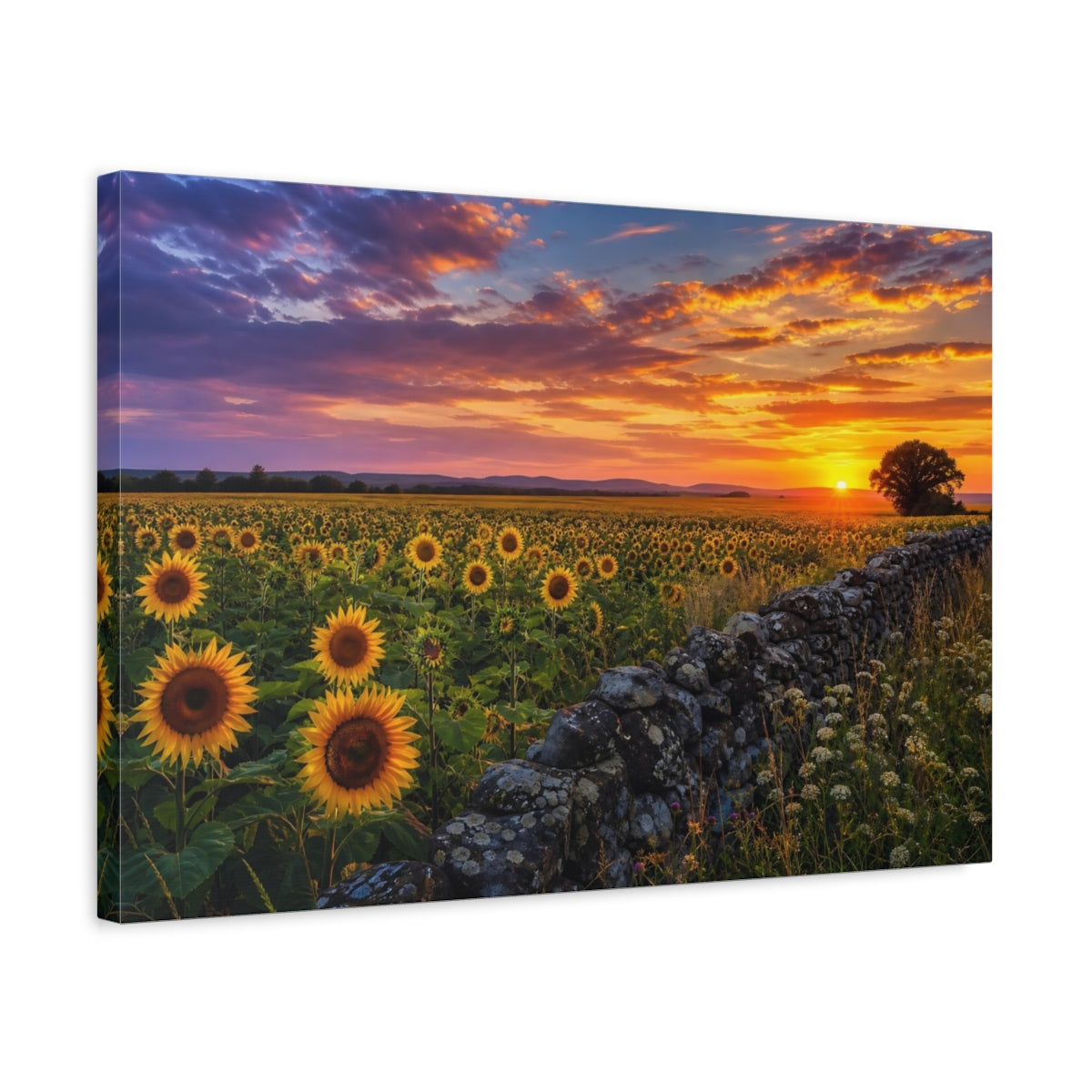 Side Mockup 3. Nature Sunflowers Sunset Sunflowers shown as stretched canvas wall art