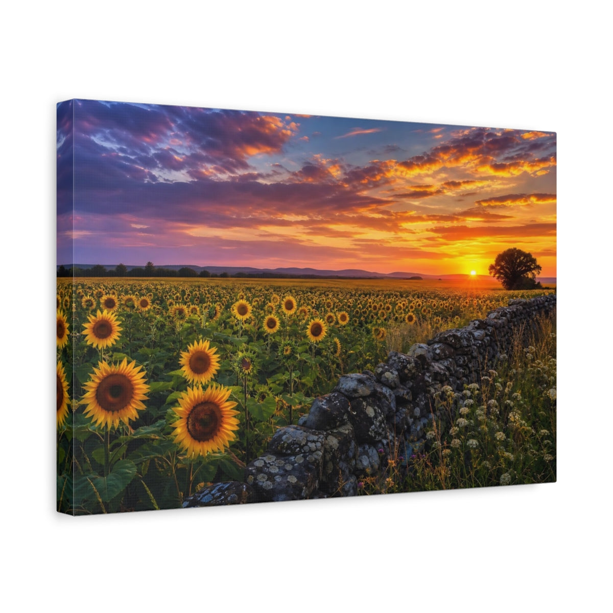 Side Mockup 4. Nature Sunflowers Sunset Sunflowers shown as stretched canvas wall art