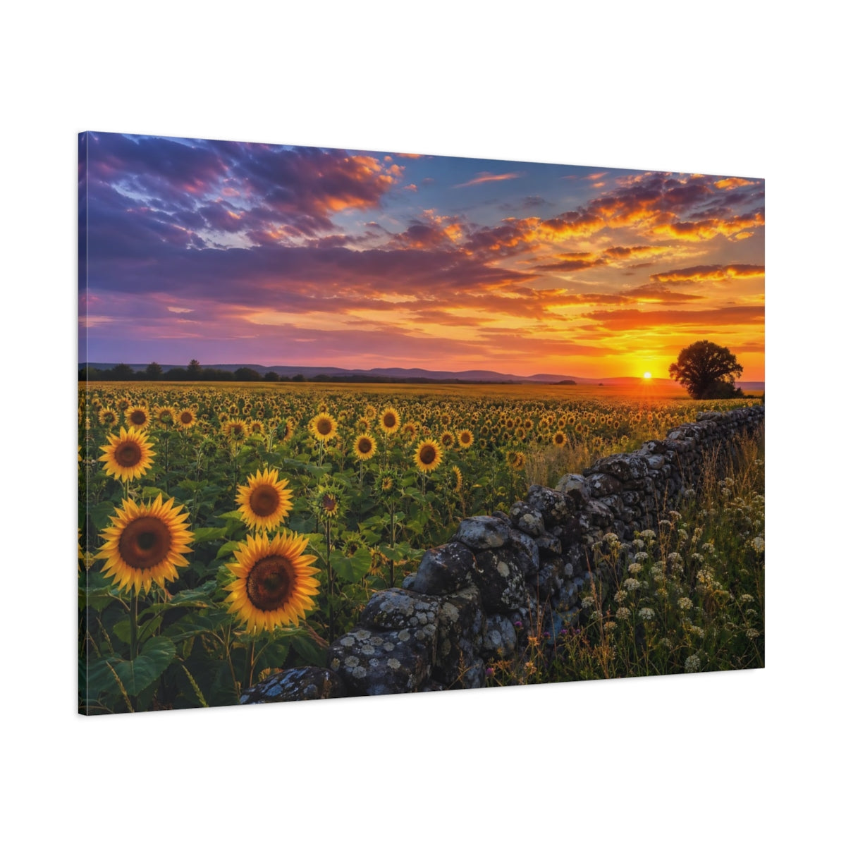 Side Mockup 1. Nature Sunflowers Sunset Sunflowers shown as stretched canvas wall art