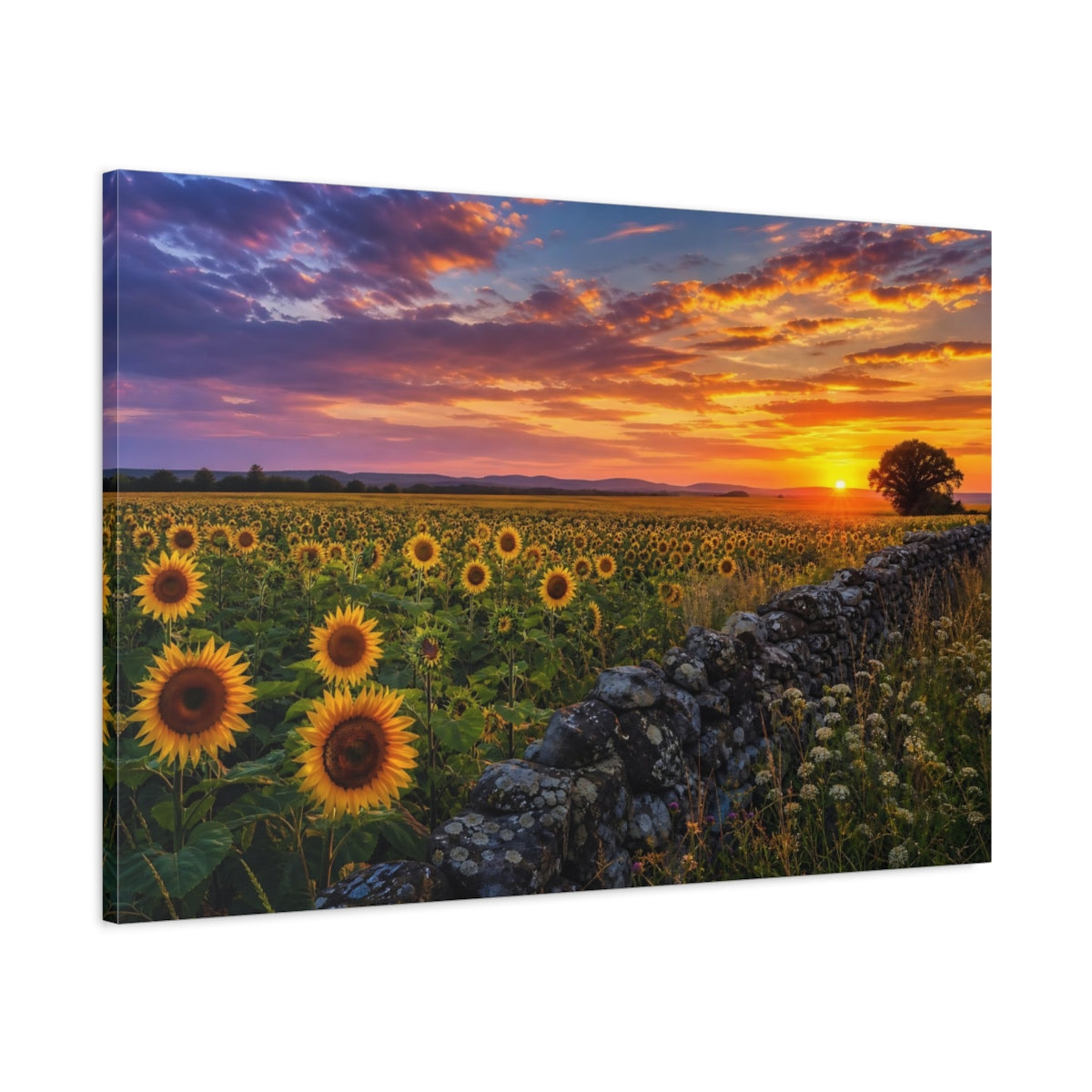 Main Mockup. Nature Sunflowers Sunset Sunflowers shown as stretched canvas wall art