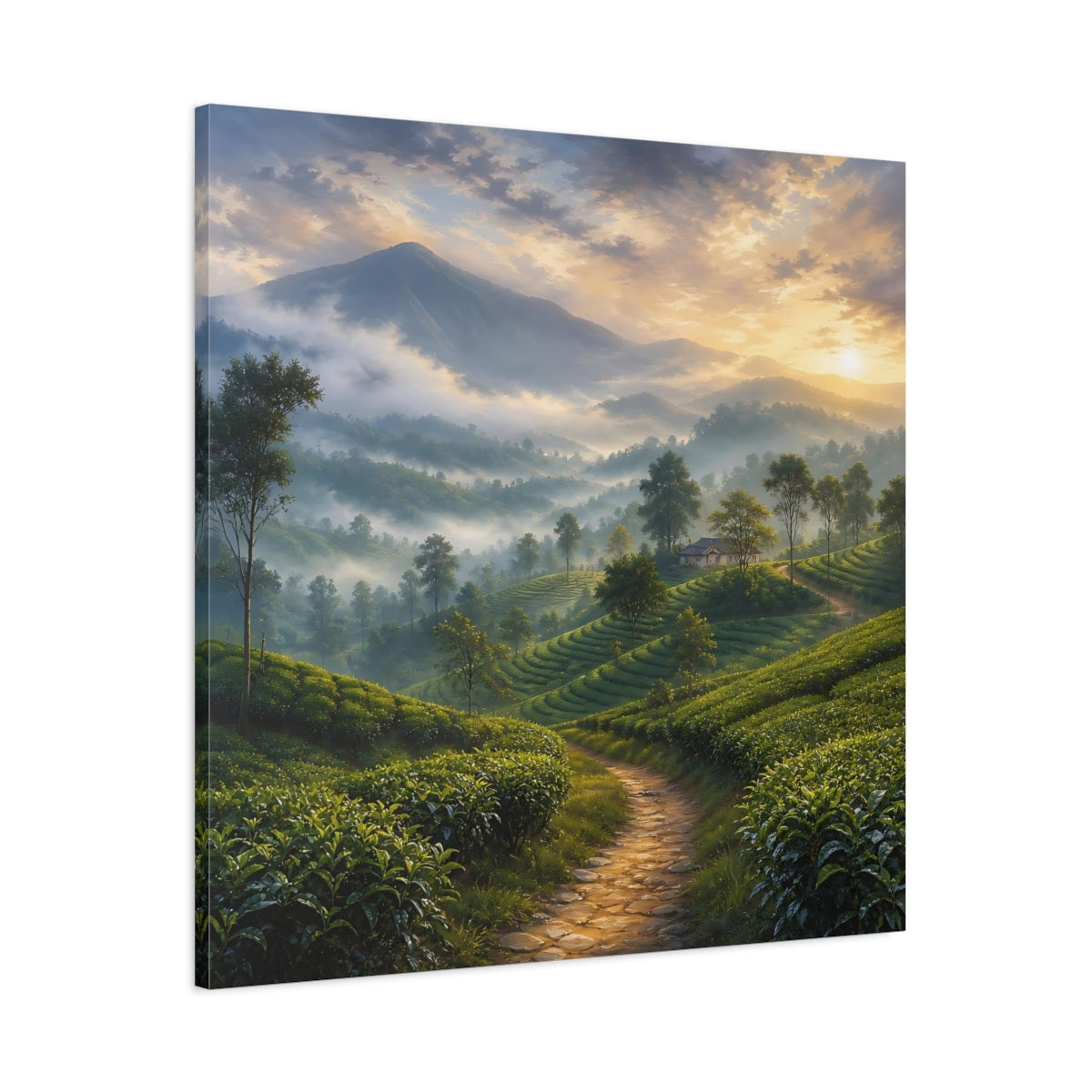 Main Mockup. Nature Tea Plantation Misty Green Landscape shown as stretched canvas wall art