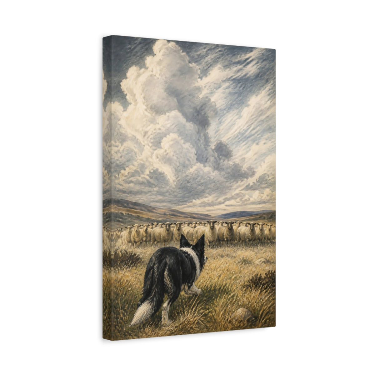 Side Mockup 4. Pet Border Collie At Work shown as canvas print