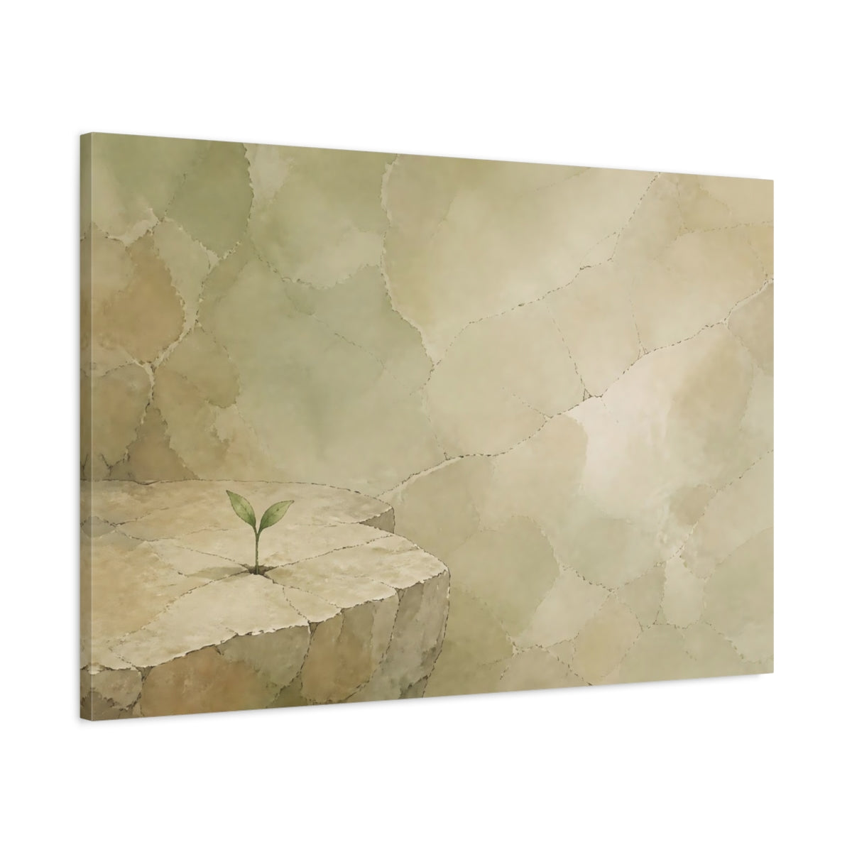 Main Mockup. Quiet Sprout On Stone shown as canvas print