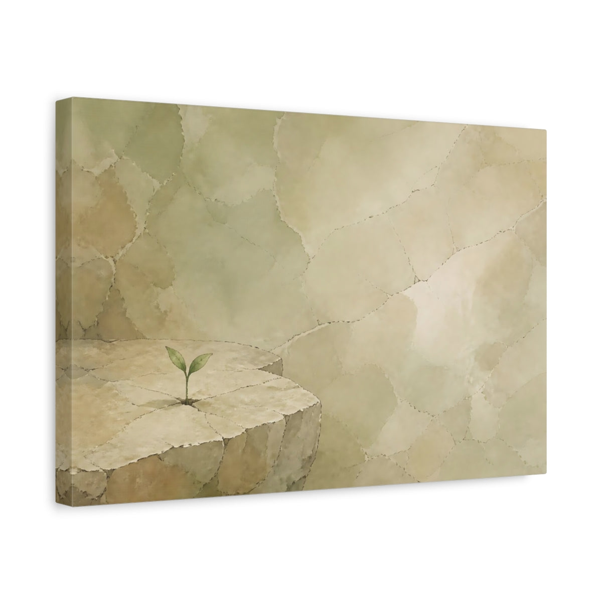 Side Mockup 4. Quiet Sprout On Stone shown as canvas print