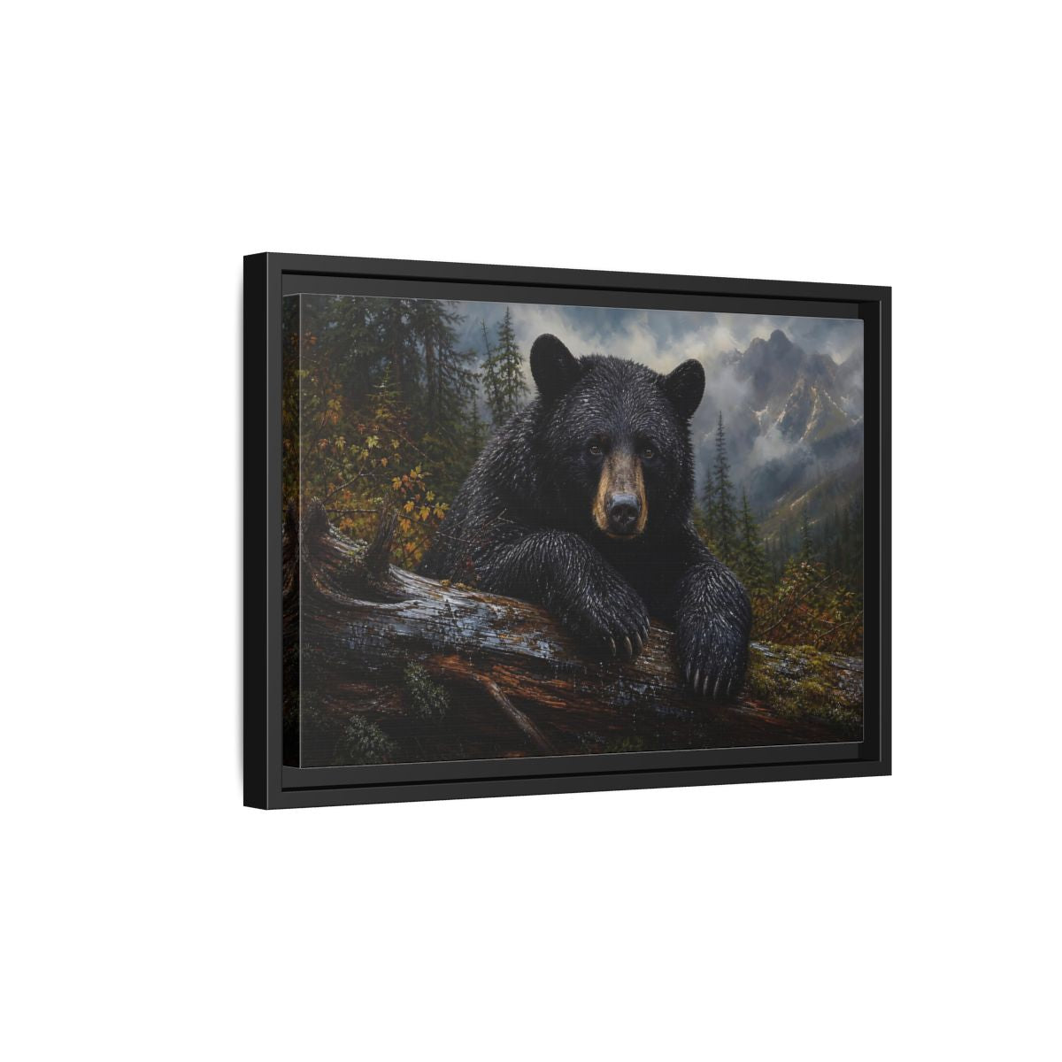 Side Mockup 6. Resting Black Bear shown as framed canvas print