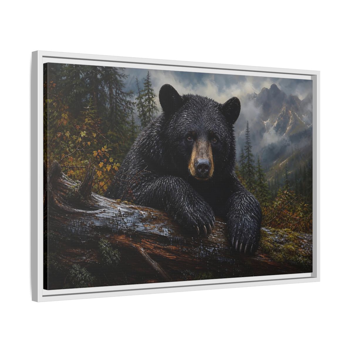 Side Mockup 10. Resting Black Bear shown as framed canvas print