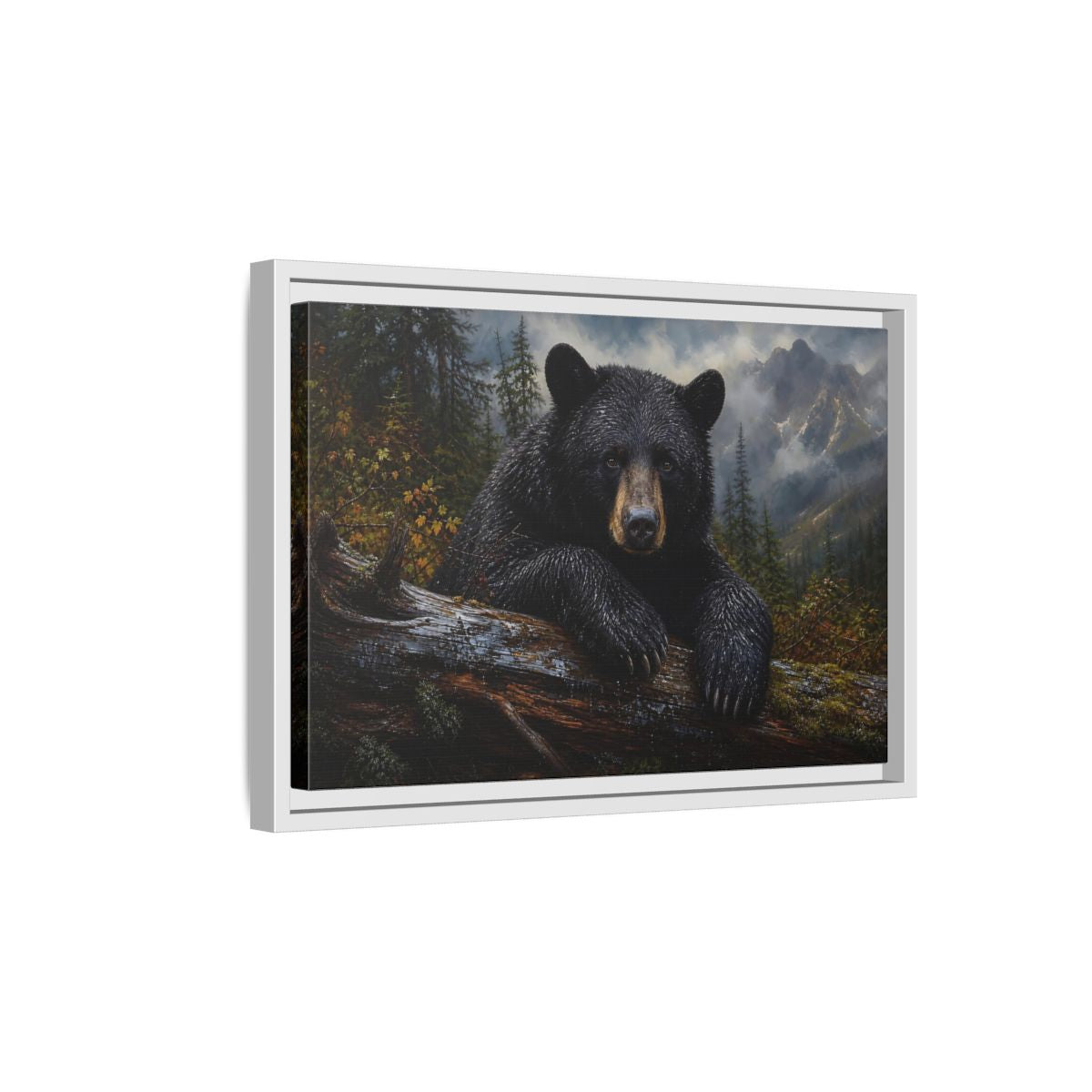 Side Mockup 4. Resting Black Bear shown as framed canvas print