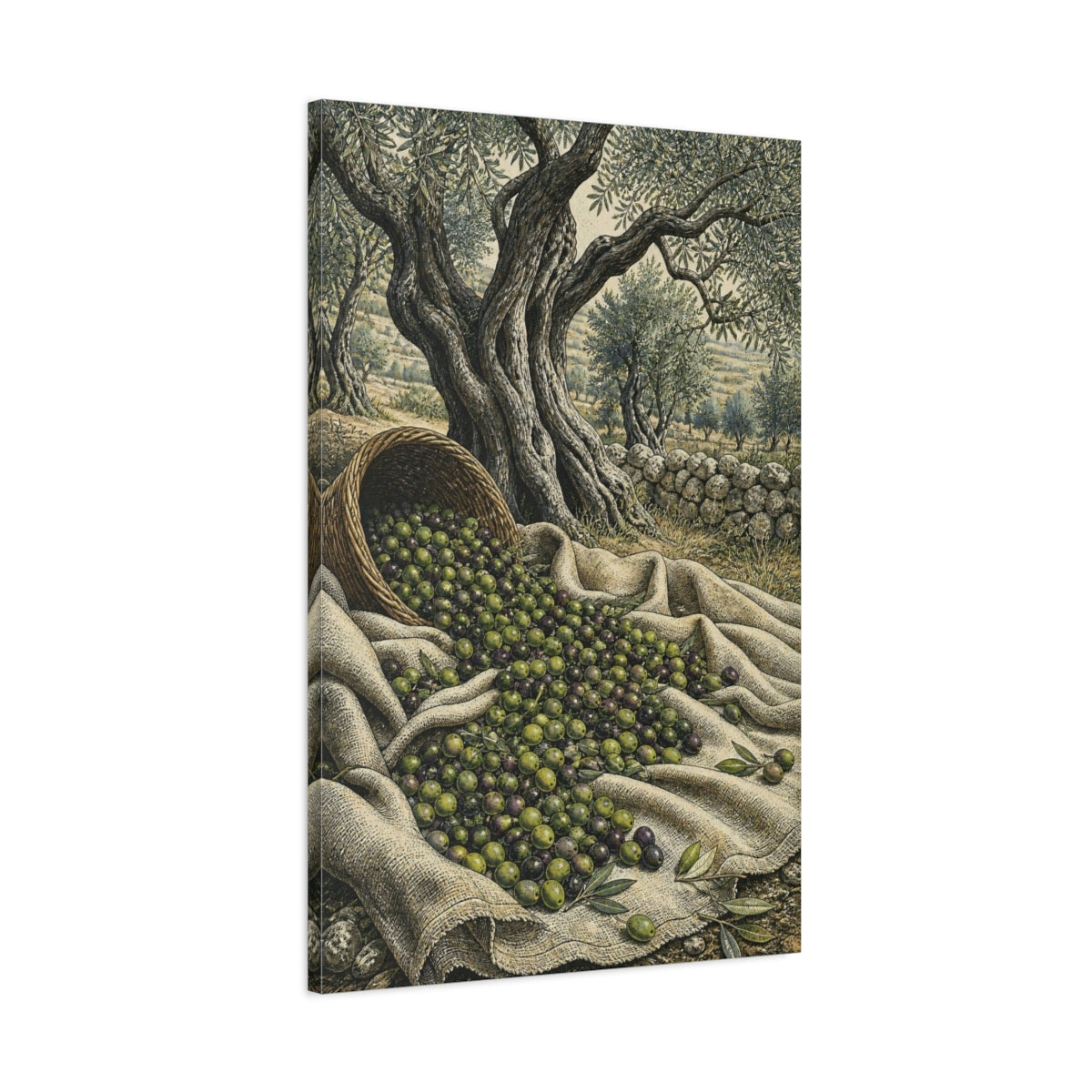 Main Mockup. Rustic Olive Harvest shown as canvas print