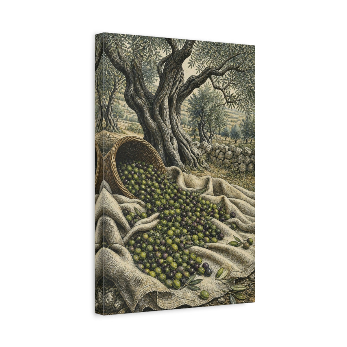 Side Mockup 4. Rustic Olive Harvest shown as canvas print