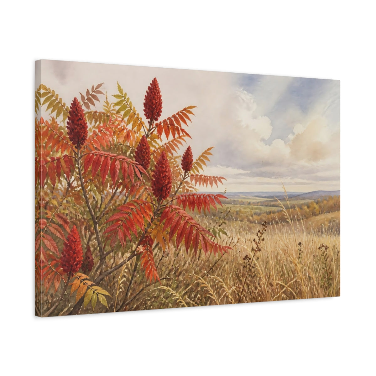 Side Mockup 2. Scarlet Sumac Meadow shown as canvas print