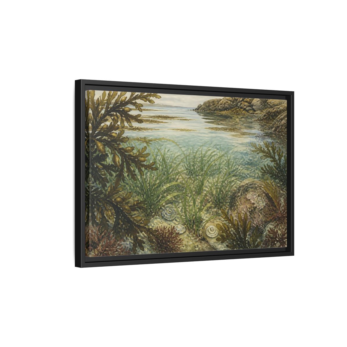 Side Mockup 3. Seagrass Tidepool Study shown as framed canvas print