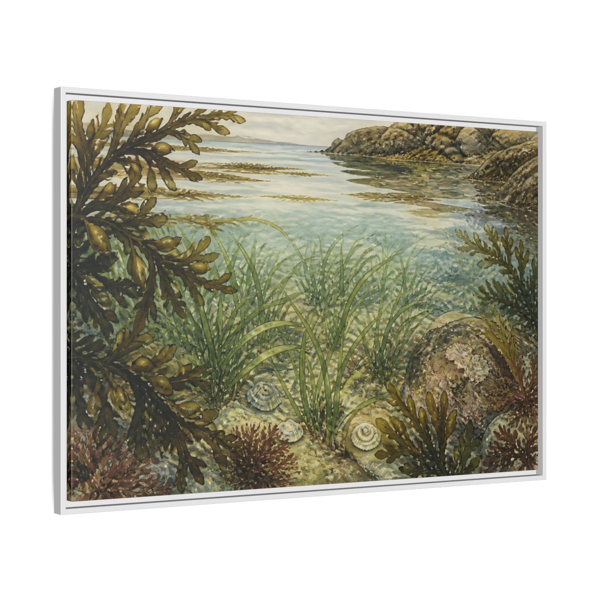 Side Mockup 7. Seagrass Tidepool Study shown as framed canvas print
