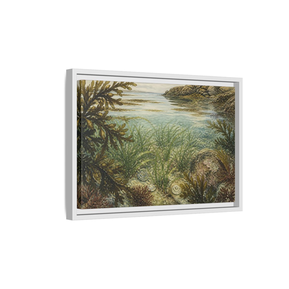 Side Mockup 4. Seagrass Tidepool Study shown as framed canvas print