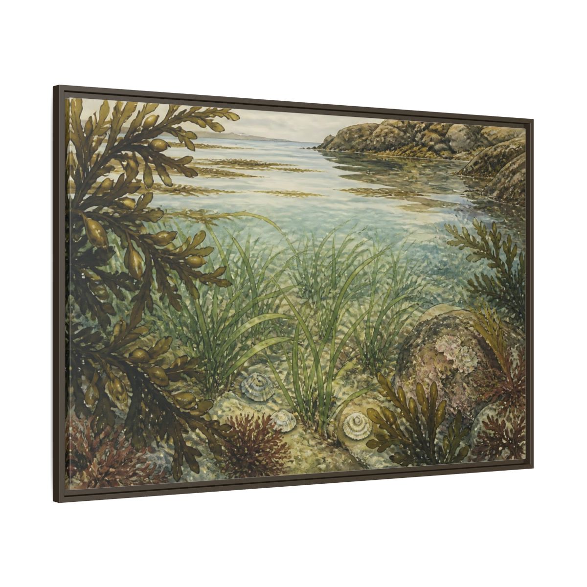 Side Mockup 8. Seagrass Tidepool Study shown as framed canvas print