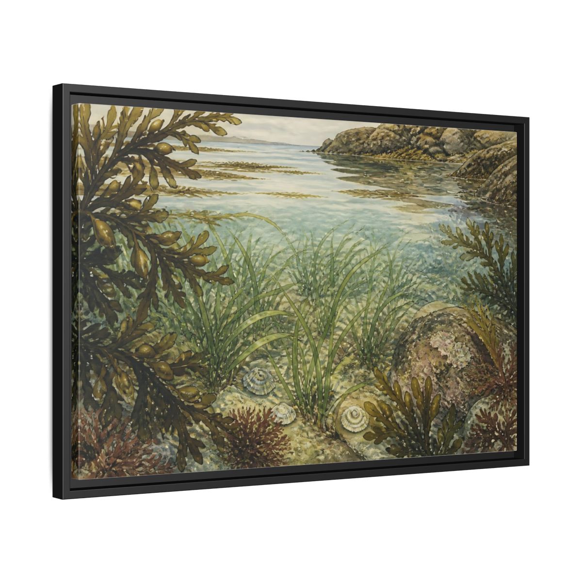 Side Mockup 14. Seagrass Tidepool Study shown as framed canvas print