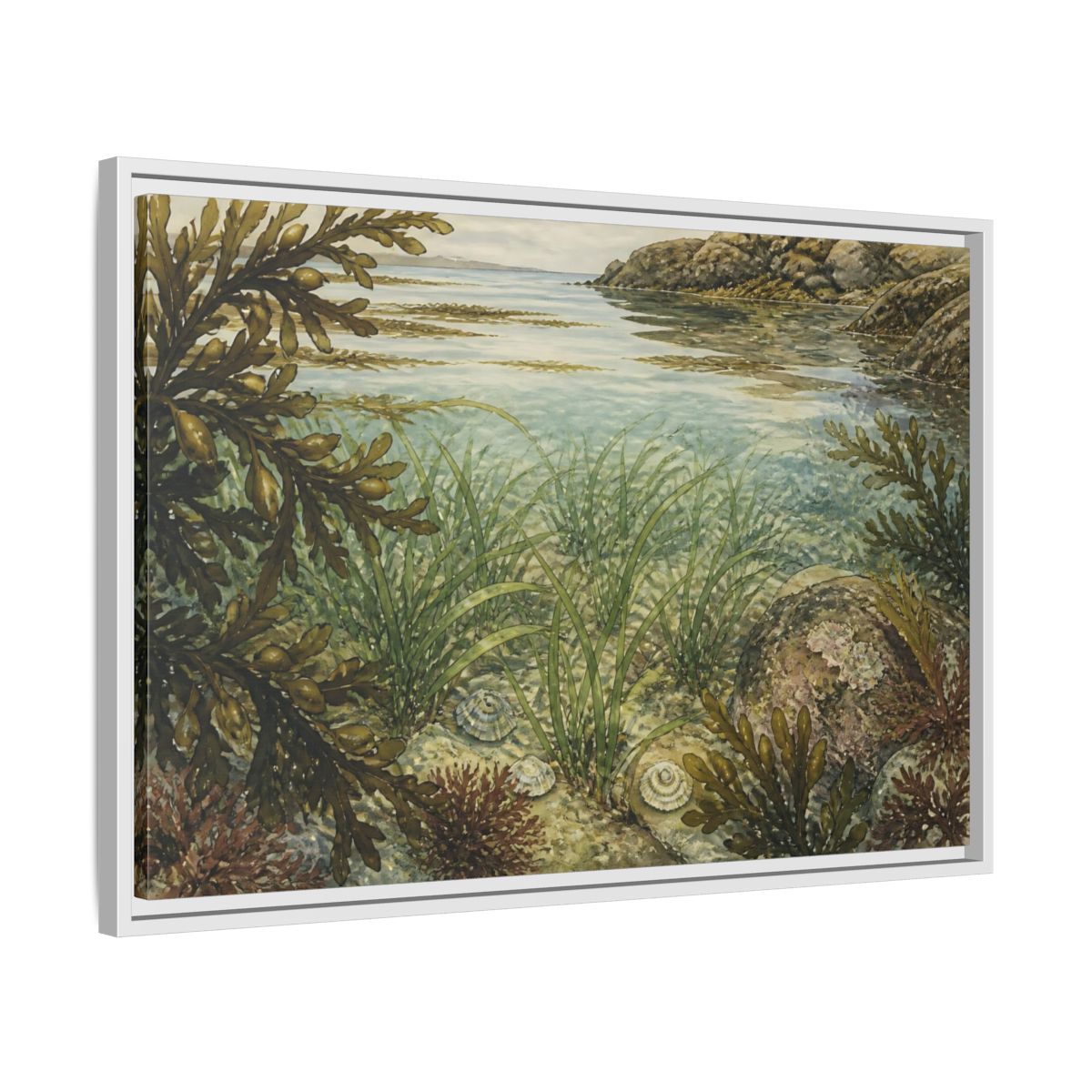 Side Mockup 10. Seagrass Tidepool Study shown as framed canvas print