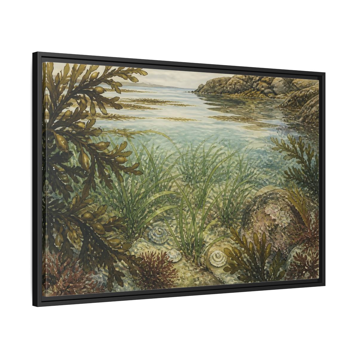 Side Mockup 13. Seagrass Tidepool Study shown as framed canvas print