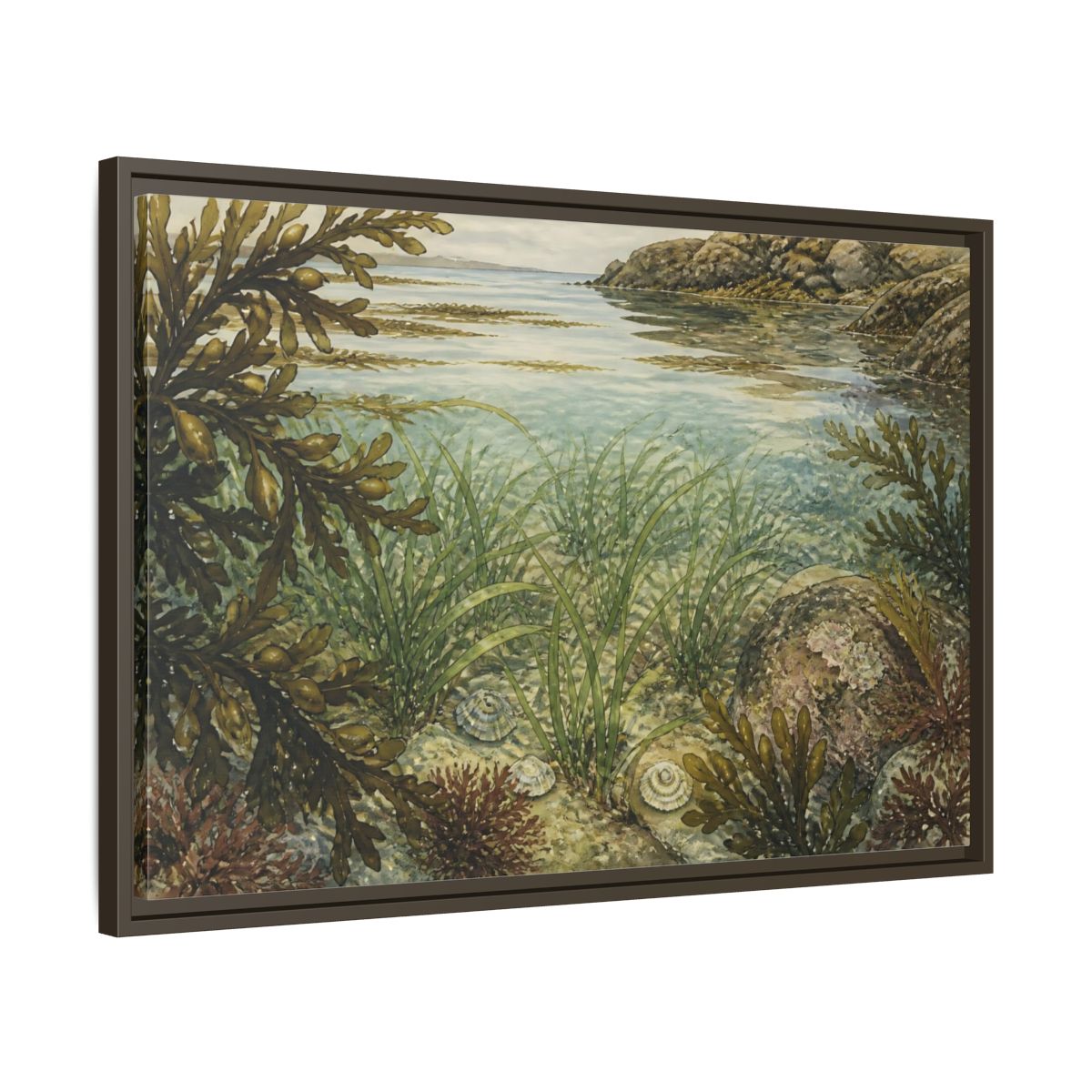 Side Mockup 11. Seagrass Tidepool Study shown as framed canvas print