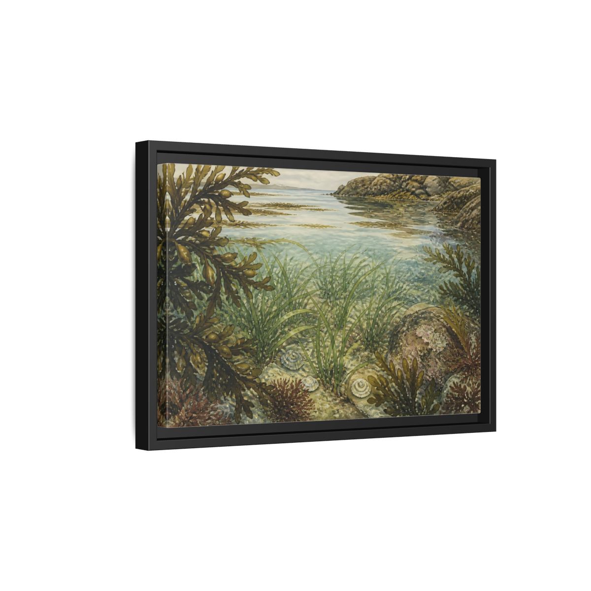 Side Mockup 6. Seagrass Tidepool Study shown as framed canvas print