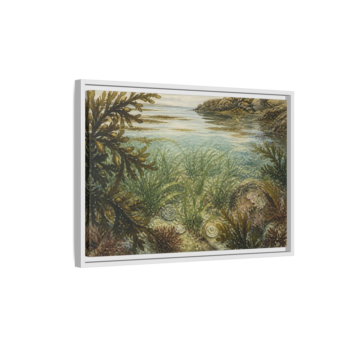 Side Mockup 1. Seagrass Tidepool Study shown as framed canvas print