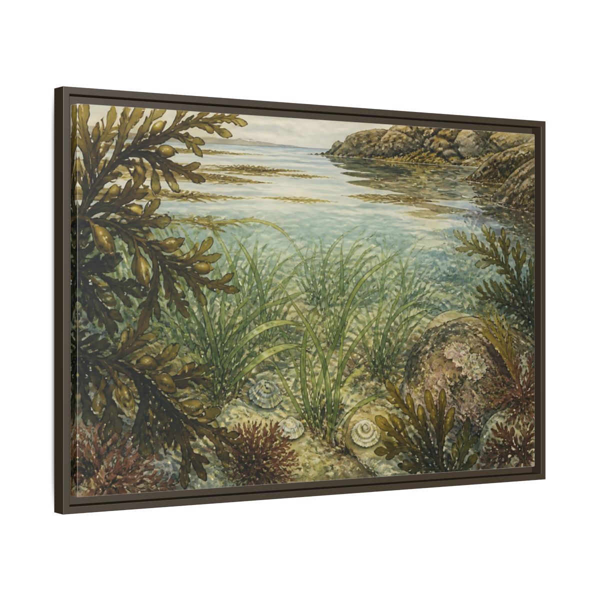 Main Mockup. Seagrass Tidepool Study shown as framed canvas print