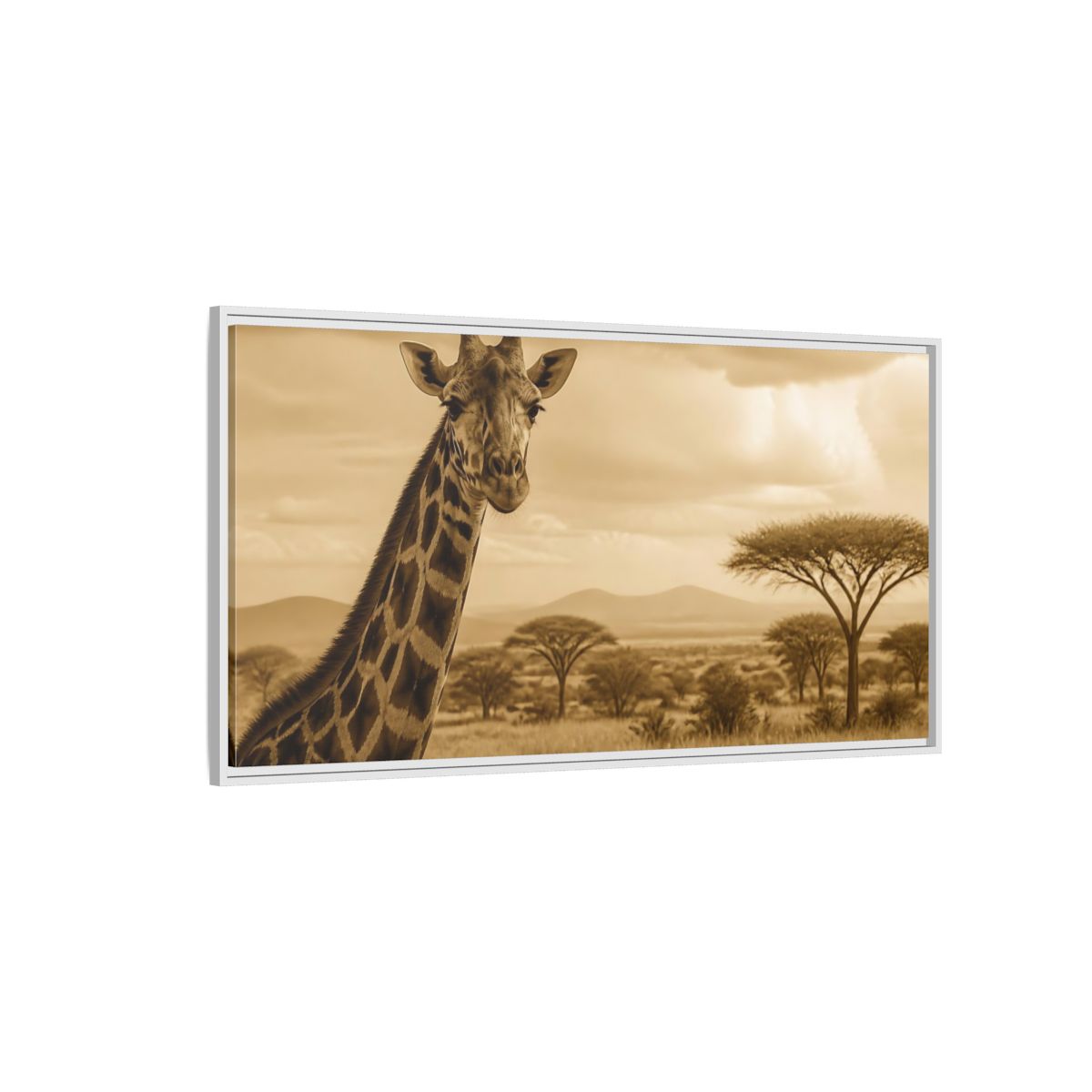 Side Mockup 3. Sepia Giraffe Portrait shown as framed canvas print