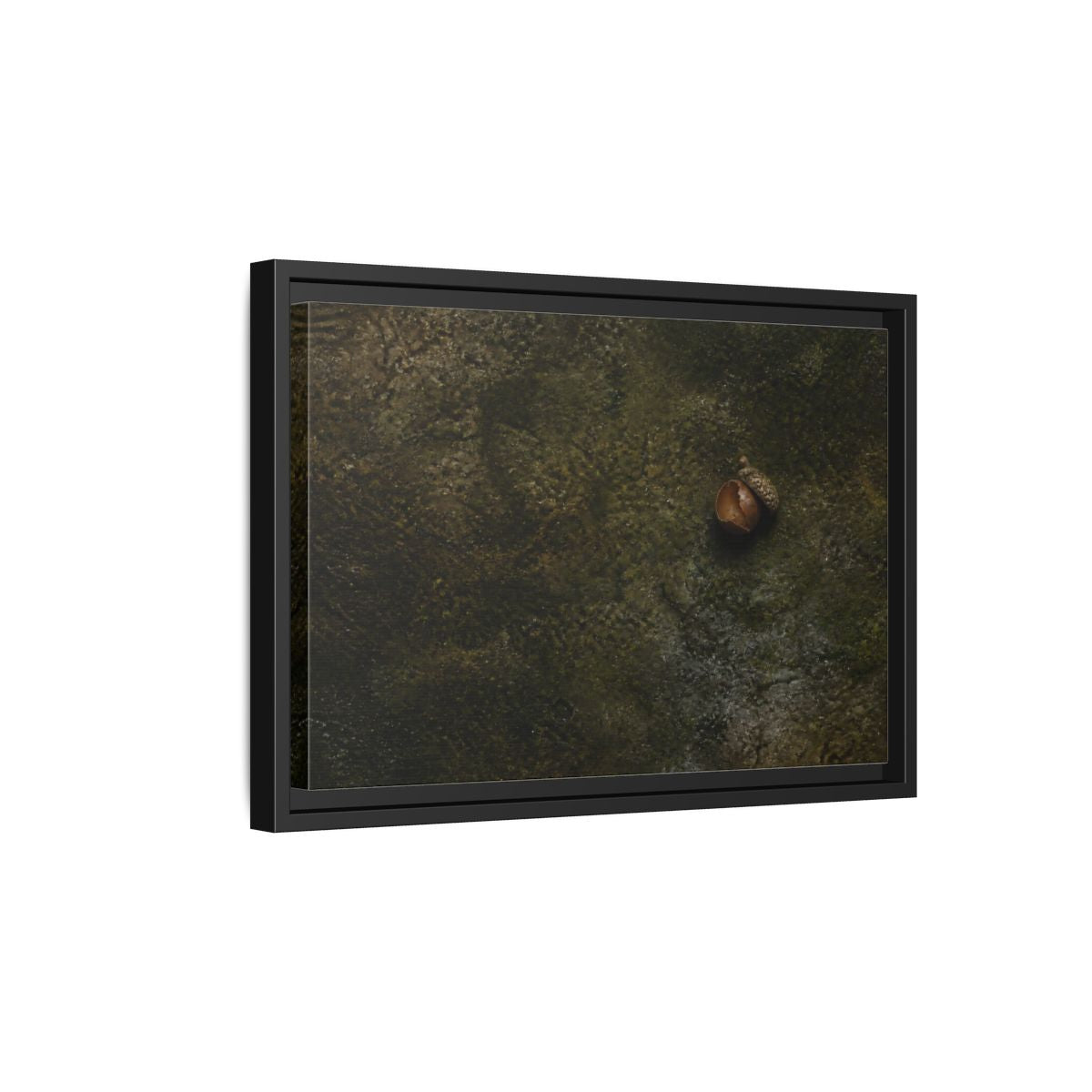 Side Mockup 6. Split Acorn On Moss shown as framed canvas print