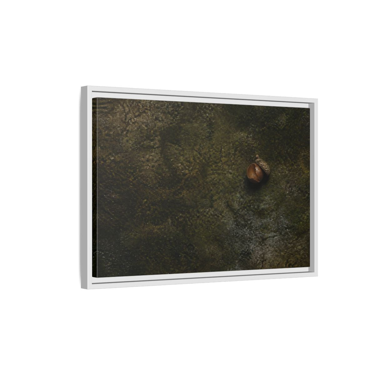Side Mockup 1. Split Acorn On Moss shown as framed canvas print