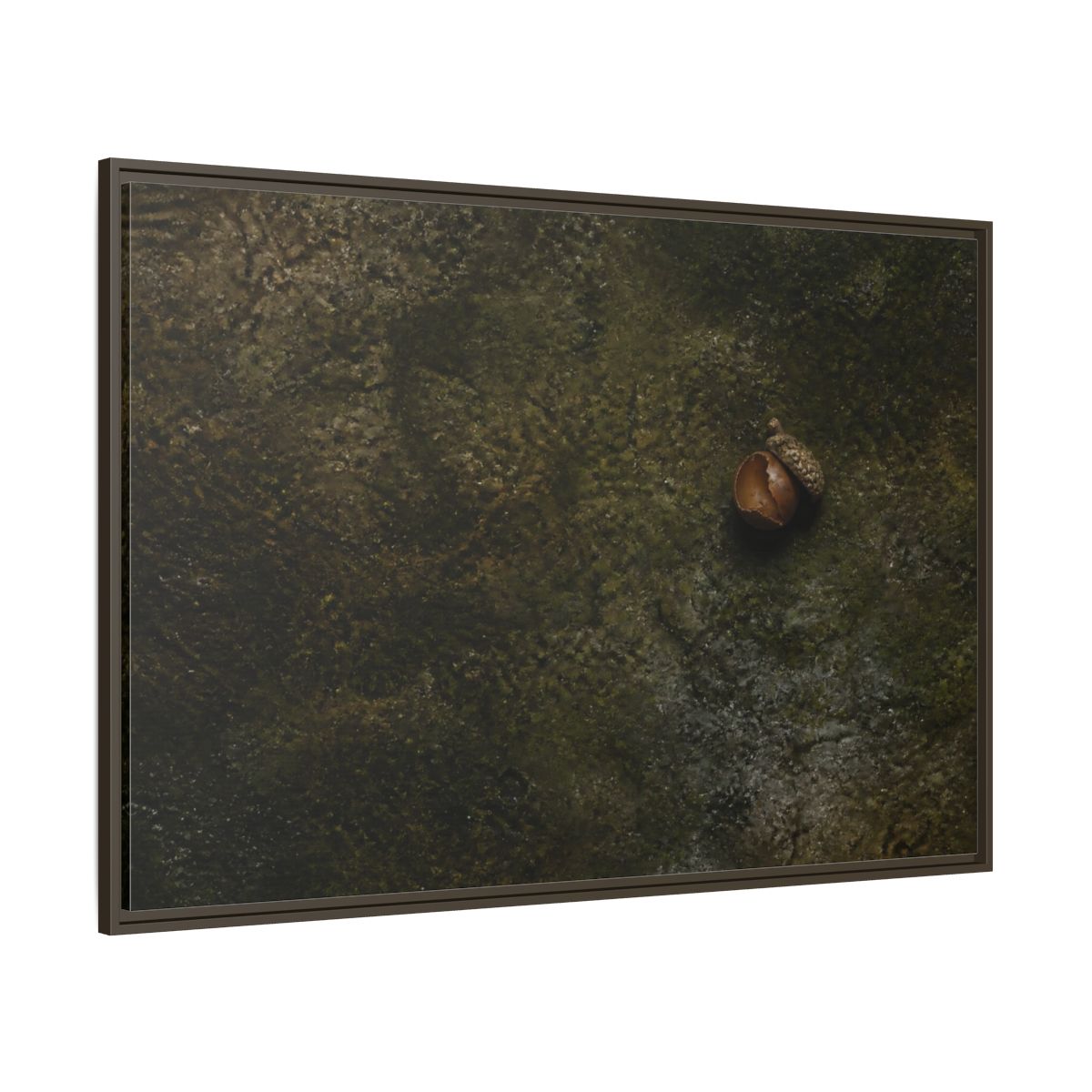 Side Mockup 8. Split Acorn On Moss shown as framed canvas print
