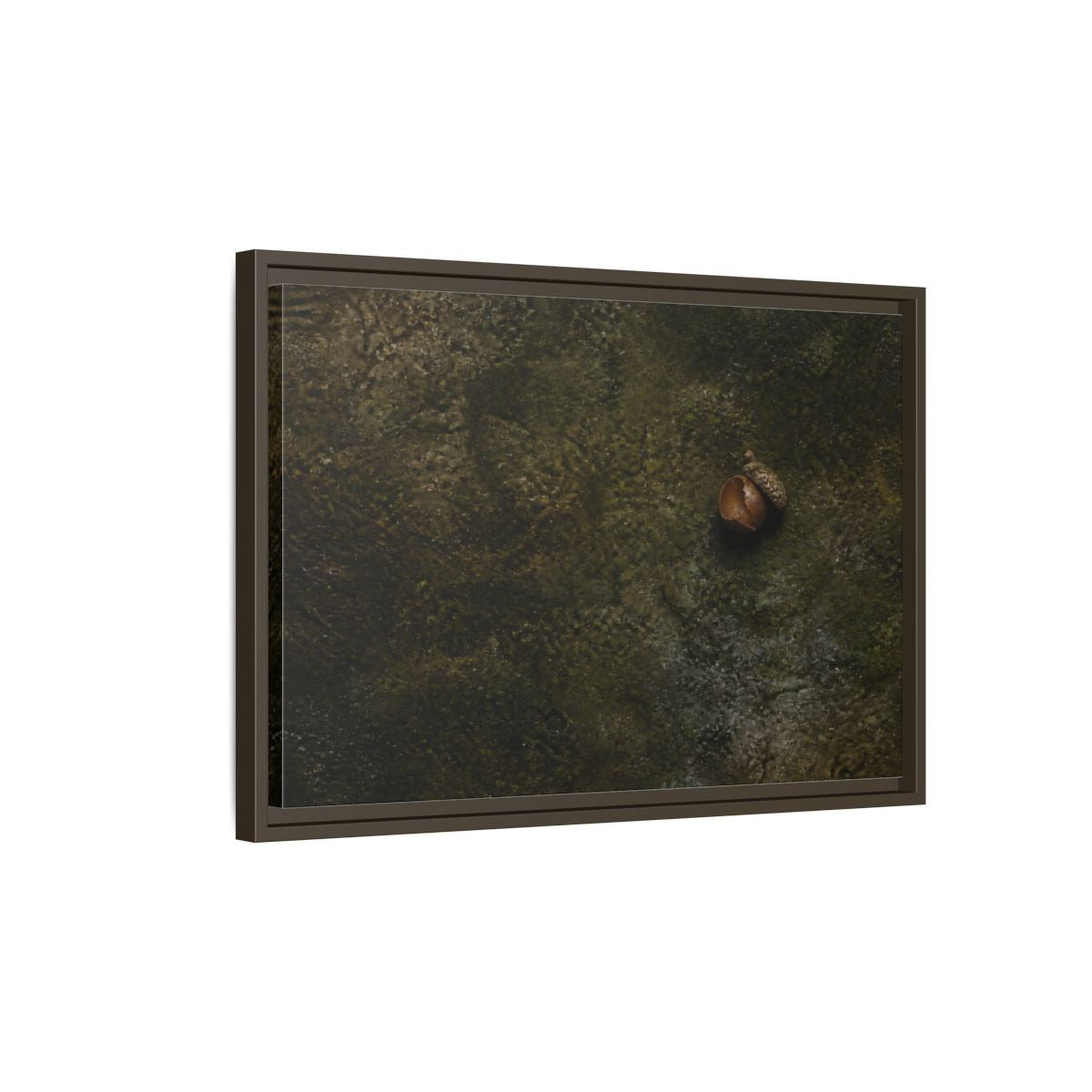Side Mockup 2. Split Acorn On Moss shown as framed canvas print