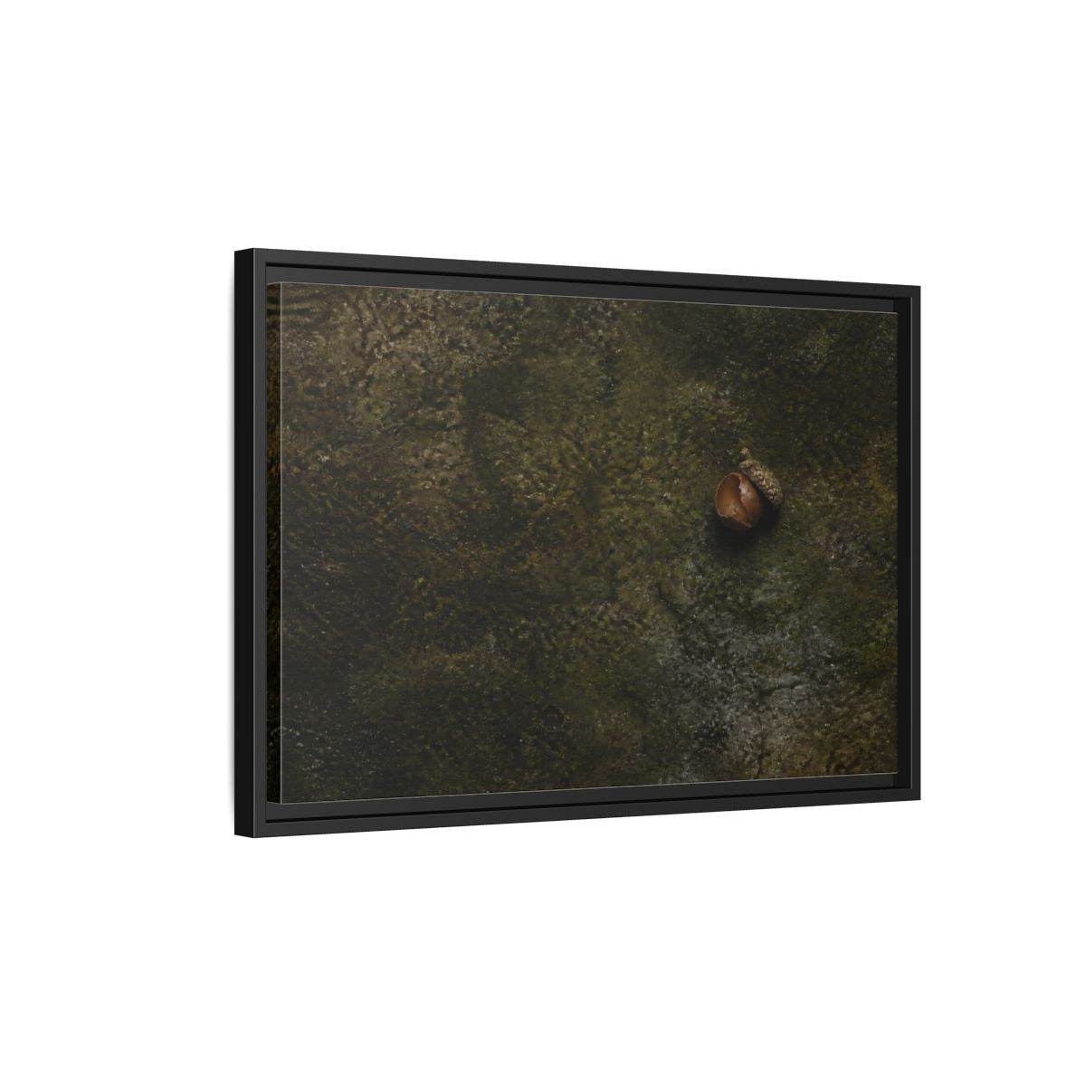 Side Mockup 3. Split Acorn On Moss shown as framed canvas print